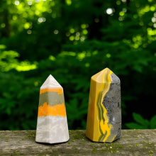 Load image into Gallery viewer, Bumblebee Jasper