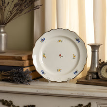 Load image into Gallery viewer, Meissen Set of Two Flower Toss Plates