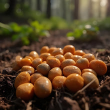 Load image into Gallery viewer, Orange Calcite Tumble