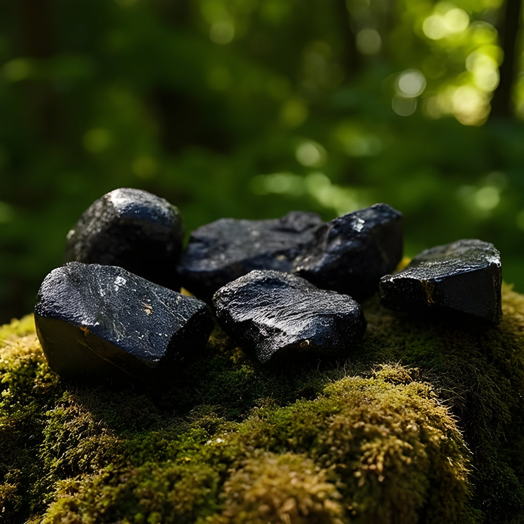 Shungite Pieces