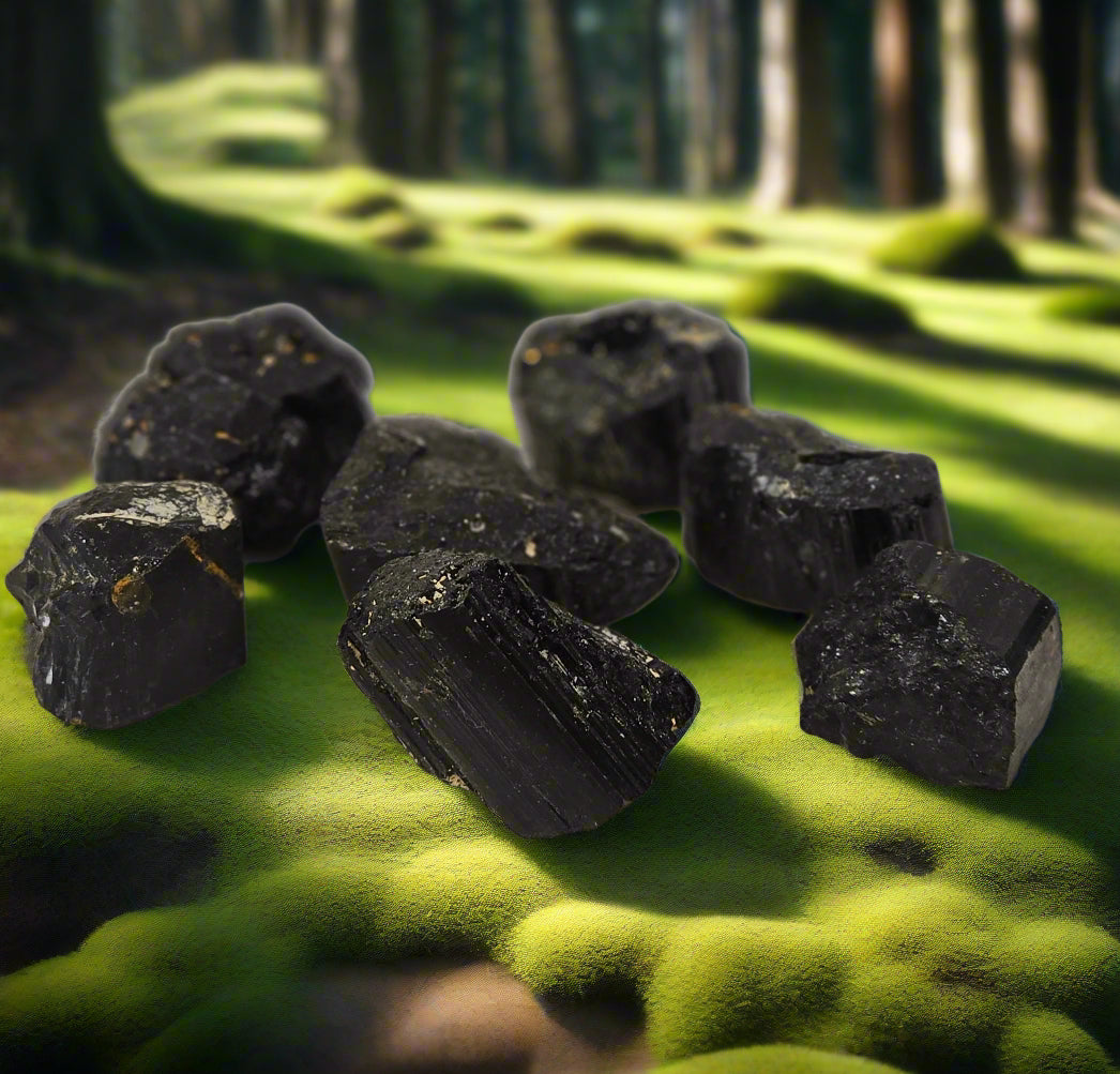 Shungite Pieces