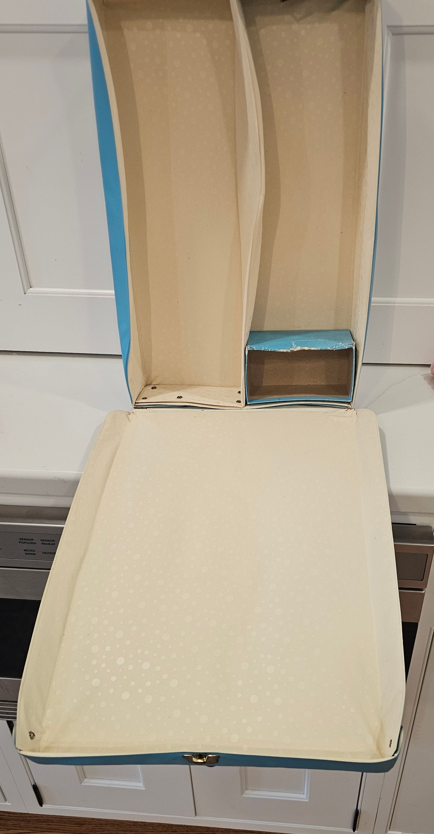 Vintage Vinyl Doll Travel Case