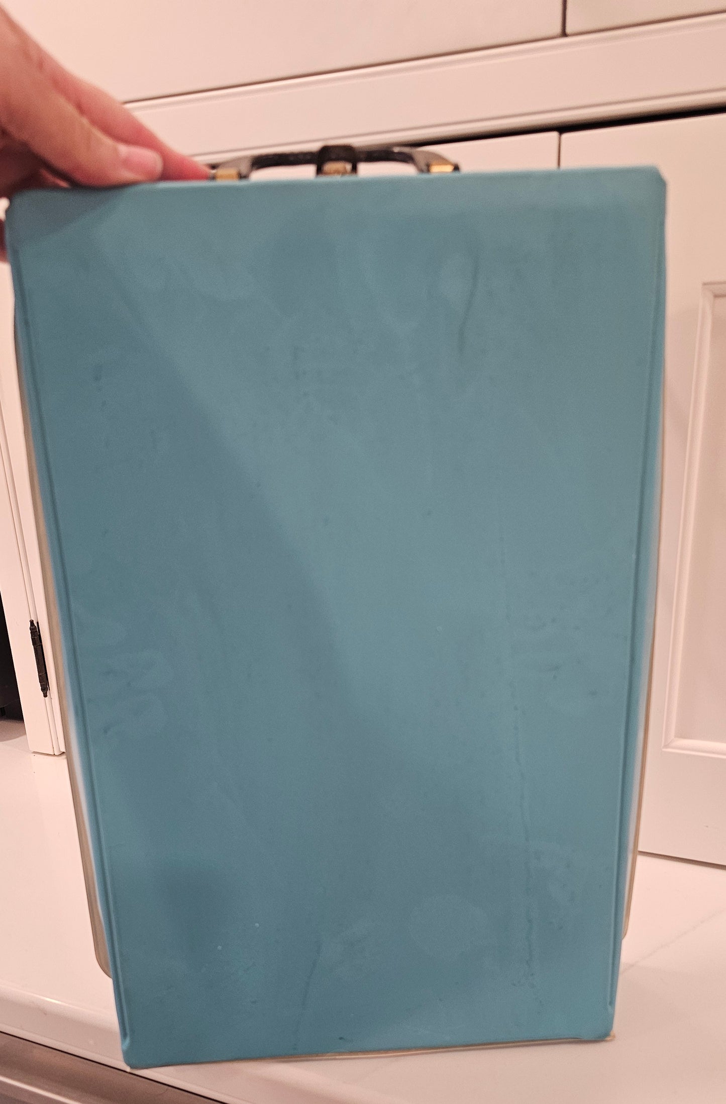 Vintage Vinyl Doll Travel Case