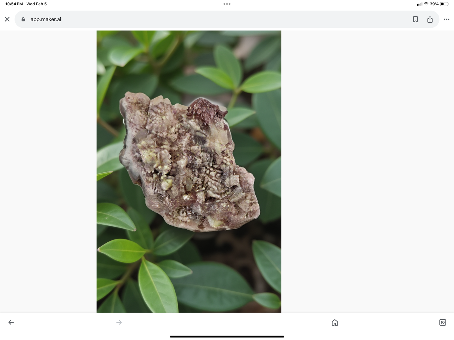 Flower Amethyst Rough Specimens