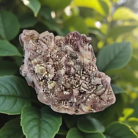 Flower Amethyst Rough Specimens