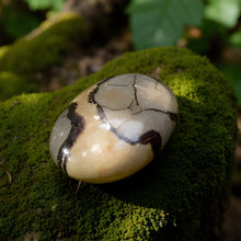 Load image into Gallery viewer, Septarian Palm Stone
