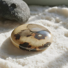 Load image into Gallery viewer, Septarian Palm Stone
