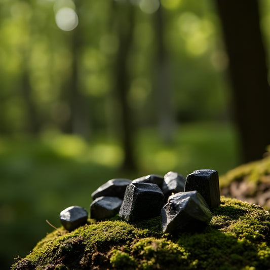 Shungite Pieces