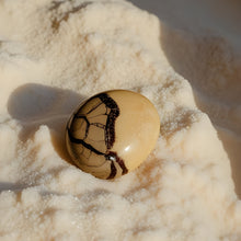 Load image into Gallery viewer, Septarian Palm Stone
