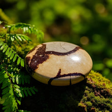 Load image into Gallery viewer, Septarian Palm Stone
