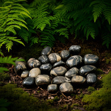 Load image into Gallery viewer, Stromatolite Tumble
